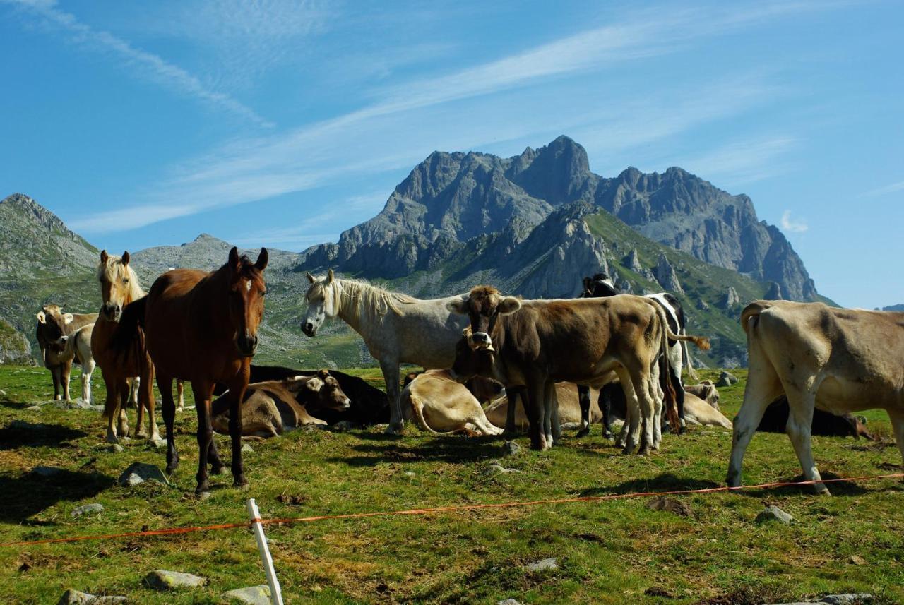 Case Vacanze Crone Kültér fotó